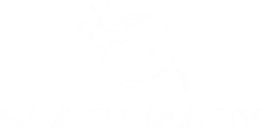 Space Mary